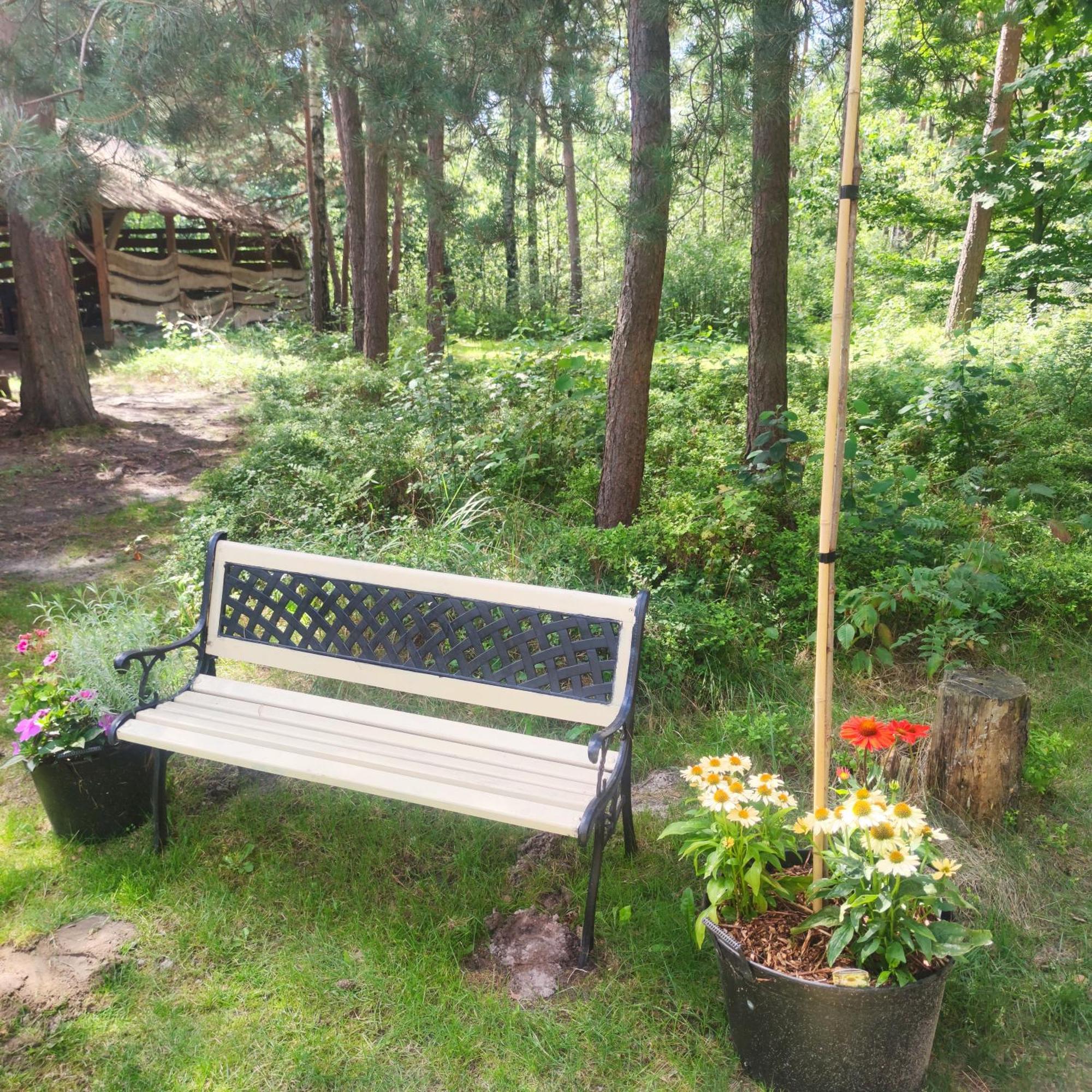 Niezapominajka-Jura Niegowa Exterior foto